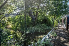 Voorburgstraat 8-45.jpg